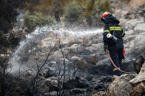 Πυρκαγιά στον Ασπρόπυργο - Κινητοποίηση της πυροσβεστικής