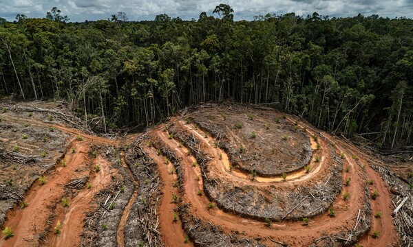 Η σοκολάτα υπεύθυνη για την καταστροφή των τροπικών δασών - Το σχέδιο της Ε.Ε. για το πρόβλημα