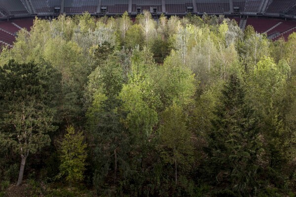Καλλιτέχνης φύτεψε εκατοντάδες δέντρα σε γήπεδο ενάντια στην κλιματική αλλαγή και στην αποψίλωση των δασών