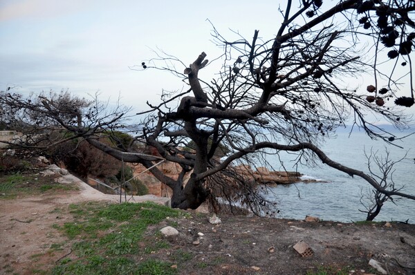 Σας γράφω από το Μάτι