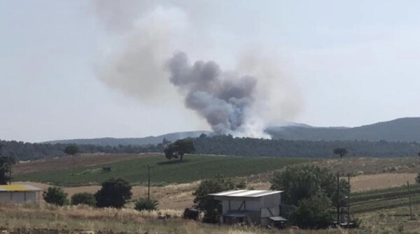 Φωτιά στην Εύβοια: Απομακρύνονται κάτοικοι - Ενισχύονται οι δυνάμεις της πυροσβεστικής