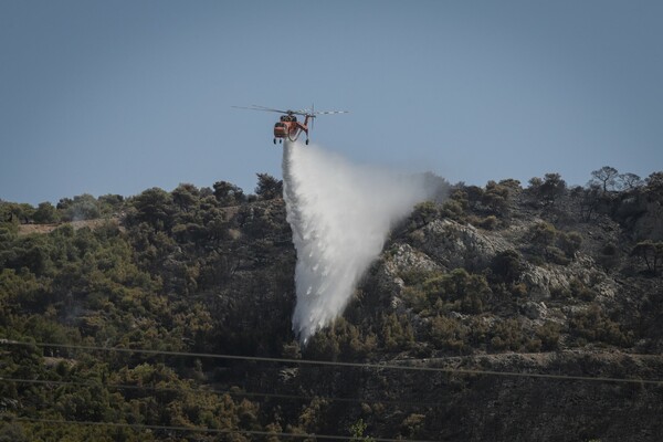 Πυρκαγιά στα Ιωάννινα - Μεγάλη κινητοποίηση της Πυροσβεστικής