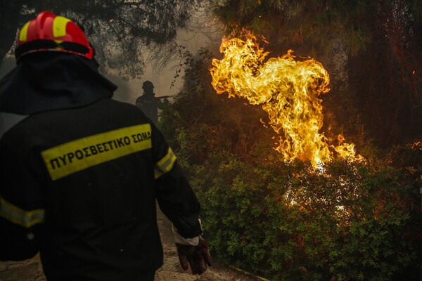 Φωτιά σε δασική έκταση στην Κεφαλονιά κοντά σε τουριστικές εγκαταστάσεις