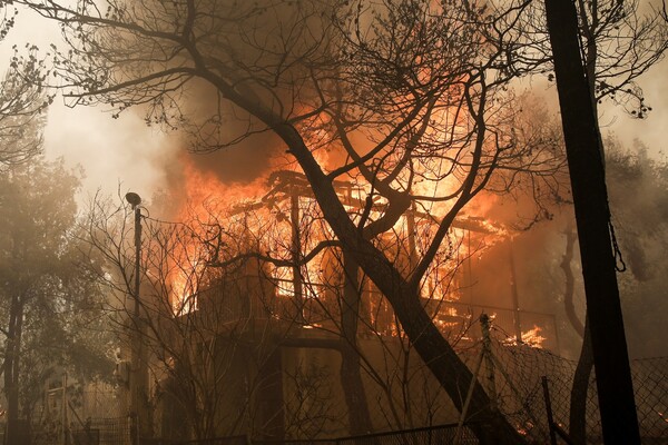 Φωτιά στην Κινέτα - Πόρισμα: Από καλώδια και στύλους της ΔΕΗ ξεκίνησε η πυρκαγιά