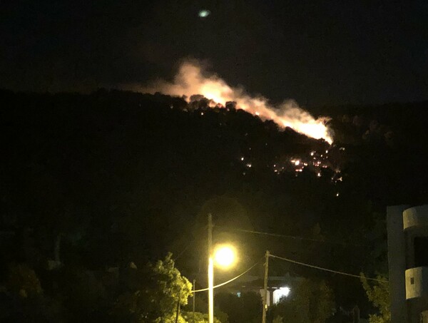 Φωτιά στη Νέα Μάκρη Αττικής - Μεγάλη κινητοποίηση της πυροσβεστικής