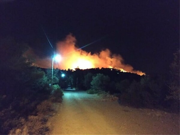 Φωτιά στη Νέα Μάκρη Αττικής - Μεγάλη κινητοποίηση της πυροσβεστικής