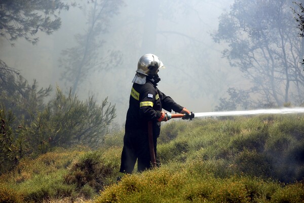 Φωτιά στην Παιανία: Μεγάλη κινητοποίηση της πυροσβεστικής