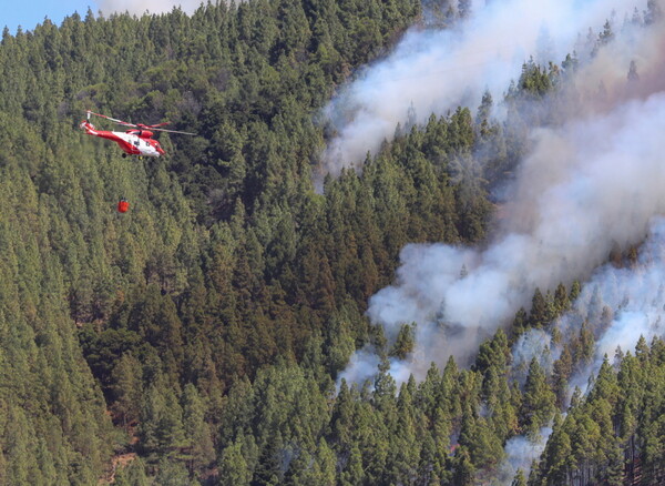 Γκραν Κανάρια: Μαίνεται η καταστροφική πυρκαγιά - Στάχτη 15.000 στρέμματα γης