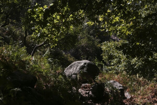 Όλη μέρα γυμνοί στους καταρράκτες της Σαμοθράκης