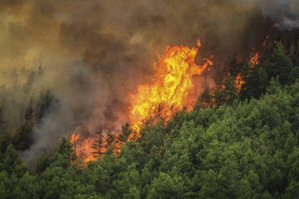Κιθαιρώνας: Παραμένει εκτός ελέγχου η φωτιά - Ισχυροί άνεμοι πνέουν στην περιοχή