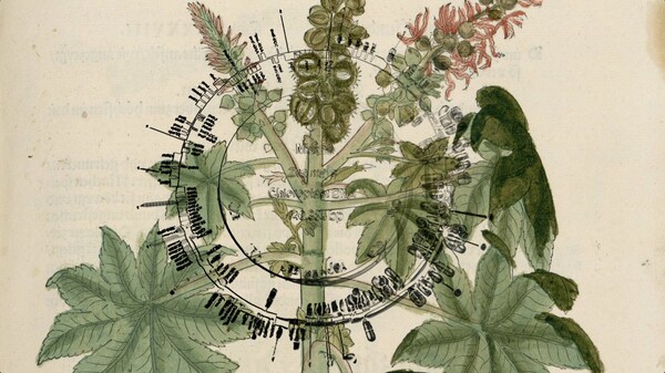 Botanic Fictions: Τι σχέση έχουν τα φυτά με την πολιτική;
