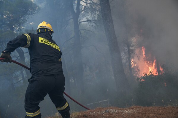 Φωτιά στην Εύβοια: Μάχη με φλόγες 20 μέτρων - Συγκλονιστικές εικόνες