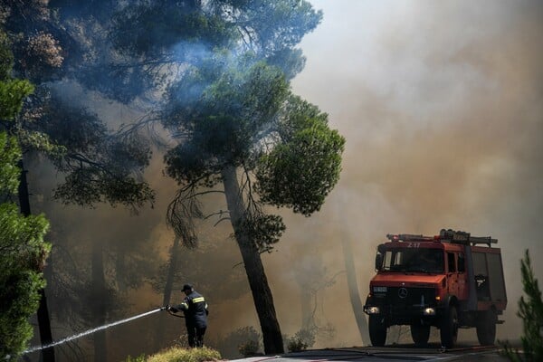 Φωτιά στην Εύβοια: Μάχη με φλόγες 20 μέτρων - Συγκλονιστικές εικόνες