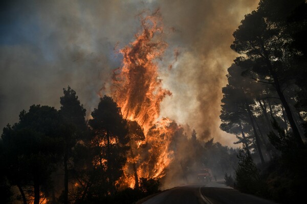 Δήμαρχος Διρφύων-Μεσσαπίων στο LiFO.gr: Το δάσος είναι πυκνό και η φωτιά πλησιάζει
