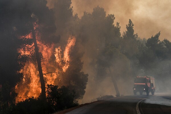 Φωτιά στην Εύβοια: Μάχη με φλόγες 20 μέτρων - Συγκλονιστικές εικόνες