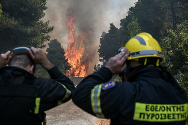 Φωτιά στην Εύβοια: Μάχη με φλόγες 20 μέτρων - Συγκλονιστικές εικόνες