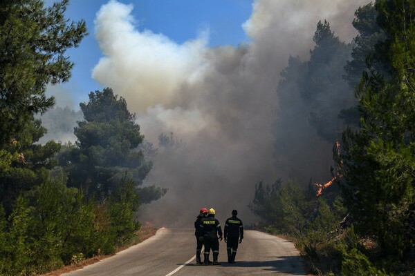 Φωτιά στην Εύβοια: Μάχη με φλόγες 20 μέτρων - Συγκλονιστικές εικόνες