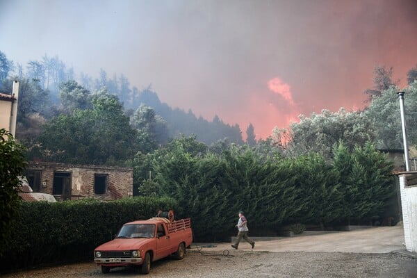 Φωτιά στην Εύβοια: Μάχη με φλόγες 20 μέτρων - Συγκλονιστικές εικόνες