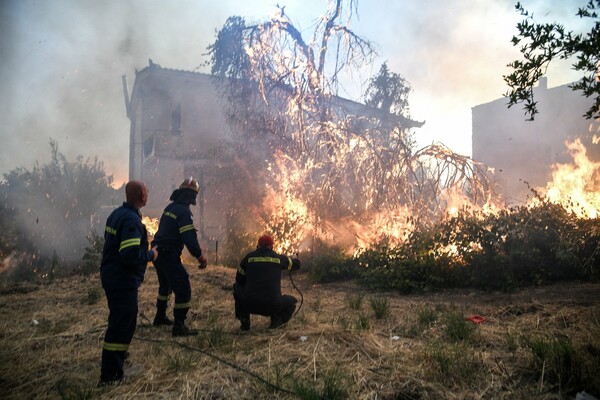 Φωτιά στην Εύβοια: Μάχη με φλόγες 20 μέτρων - Συγκλονιστικές εικόνες