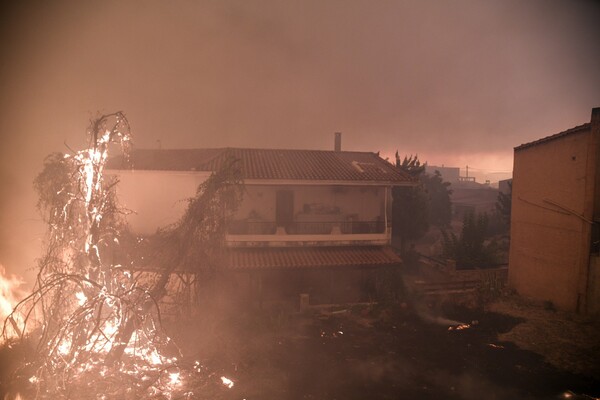 Φωτιά στην Εύβοια: Μάχη με φλόγες 20 μέτρων - Συγκλονιστικές εικόνες