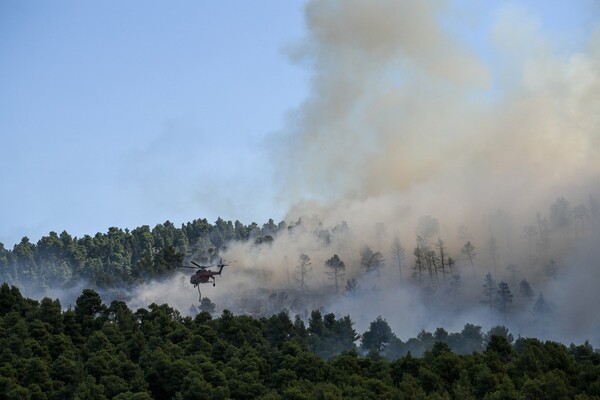 Ανεξέλεγκτη η φωτιά στην Εύβοια - Καίγεται δασική έκταση