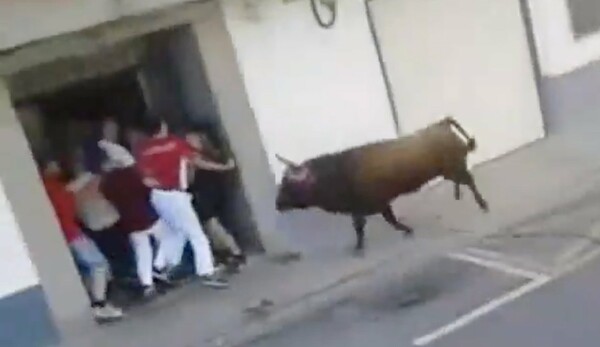 Ισπανία: Άνδρας σκοτώθηκε από χτύπημα ταύρου κατά τη διάρκεια ταυροδρομίας στη Βαλένθια