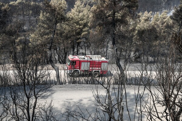 Φωτιά στην Εύβοια: Η Πυροσβεστική ερευνά πιθανότητα εμπρησμού μετά από ευρήματα