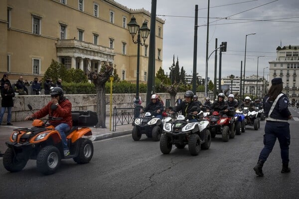 Τι συμβαίνει, τελικά, με τις «γουρούνες» στα ελληνικά νησιά