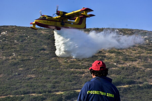 Ιτέα: Πυρκαγιά σε δασική έκταση