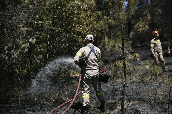 Πυρκαγιά σε αγροτοδασική έκταση στην Κοζάνη - Κινητοποίηση Πυροσβεστικής