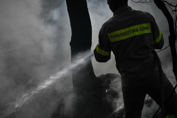 Πυρκαγιά στη Μεσσηνία - Κινητοποίηση της Πυροσβεστικής