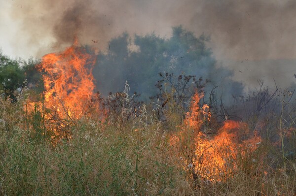 Κρήτη: Μεγάλη πυρκαγιά στα νότια του νομού Ηρακλείου - Πνέουν ισχυροί άνεμοι