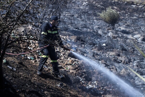 Πυρκαγιά στην Πεντέλη - Κινητοποίηση της Πυροσβεστικής