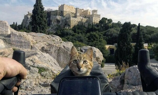 Κάνοντας τον γύρο του κόσμου με ποδήλατο και μια γάτα στην πλάτη