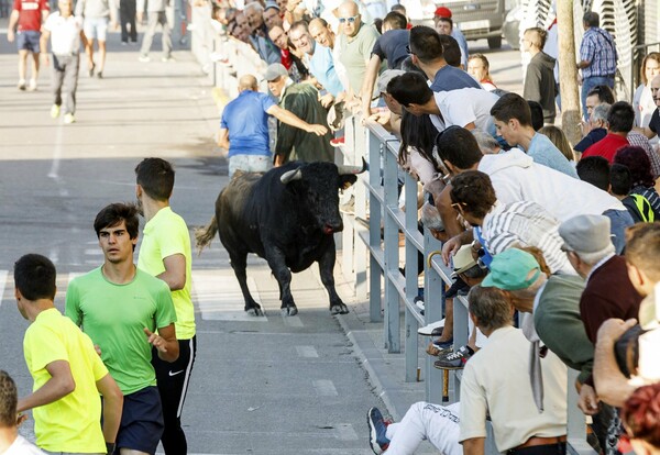 Αιματηρή ταυροδρομία στην Ισπανία - Νεκρός θεατής από χτυπήματα ταύρου