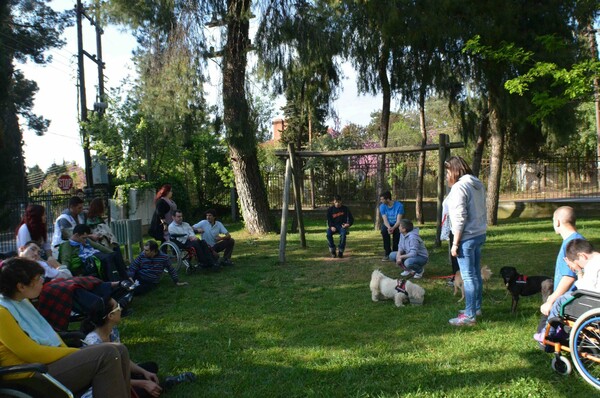 «Therapy Dogs»: πώς δημιουργήθηκε η πρώτη ομάδα «σκύλων-θεραπευτών» στην Ελλάδα