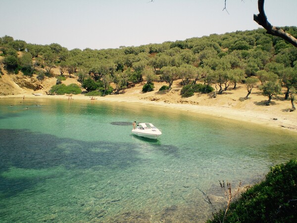 Παλαιό Τρίκερι: Ένα μικρό, άγνωστο σχεδόν, νησάκι του Παγασητικού