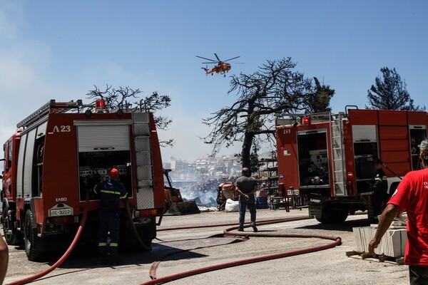 Φωτιά στο δάσος Χαϊδαρίου: Ενισχύθηκαν οι δυνάμεις της πυροσβεστικής