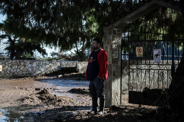 Κακοκαιρία Γηρυόνης: Τεράστια καταστροφή στην Κινέτα - ΦΩΤΟΡΕΠΟΡΤΑΖ