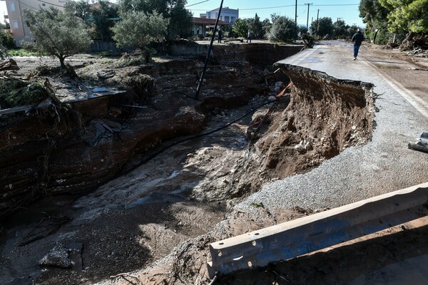 Κακοκαιρία Γηρυόνης: Τεράστια καταστροφή στην Κινέτα - ΦΩΤΟΡΕΠΟΡΤΑΖ