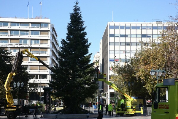 Στήθηκε και στολίζεται το χριστουγεννιάτικο δέντρο στο Σύνταγμα