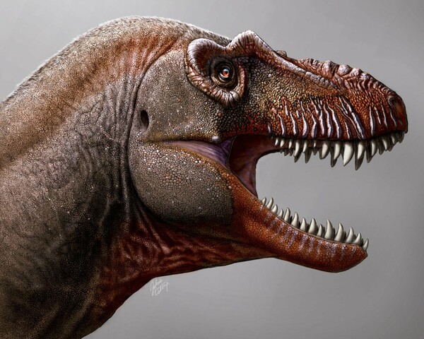 «Θανατοθεριστής»: Παλαιοντολόγοι ανακάλυψαν ένα νέο είδος δεινοσαύρου στον Καναδά