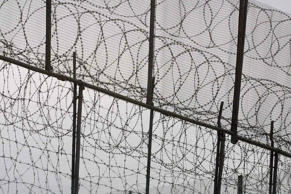 Αιφνιδιαστική έρευνα στις φυλακές Χαλκίδας - Βρέθηκαν ναρκωτικά, κινητά τηλέφωνα και ρούτερ