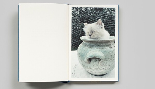 Choupette: Η αυτοκρατορική γάτα του Λάγκερφελντ φωτογραφημένη από τον ίδιο, αποκτά λεύκωμα στον Steidl