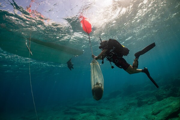 Θησαυροί στη θάλασσα της Κάσου: Αρχαία ναυάγια εντόπισαν στην πρώτη υποβρύχια ερευνητική αποστολή