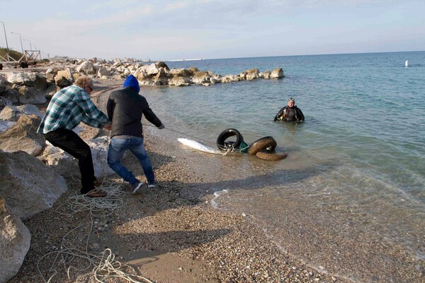 Κιάτο: Εθελοντές δύτες ανέσυραν 600 κιλά σκουπίδια από τον βυθό