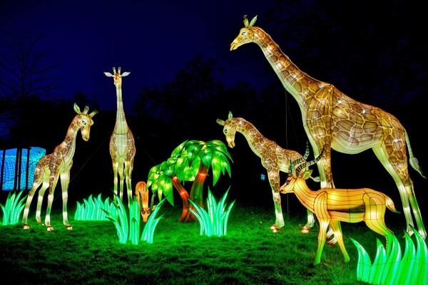 Φεστιβάλ Φωτός: Νύχτες βγαλμένες από παραμύθι στον ζωολογικό κήπο της Κολωνίας