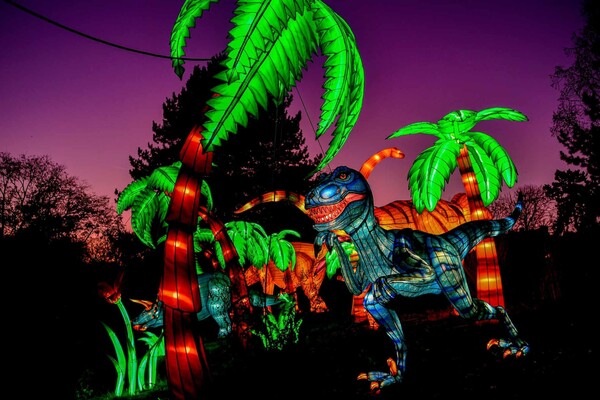 Φεστιβάλ Φωτός: Νύχτες βγαλμένες από παραμύθι στον ζωολογικό κήπο της Κολωνίας