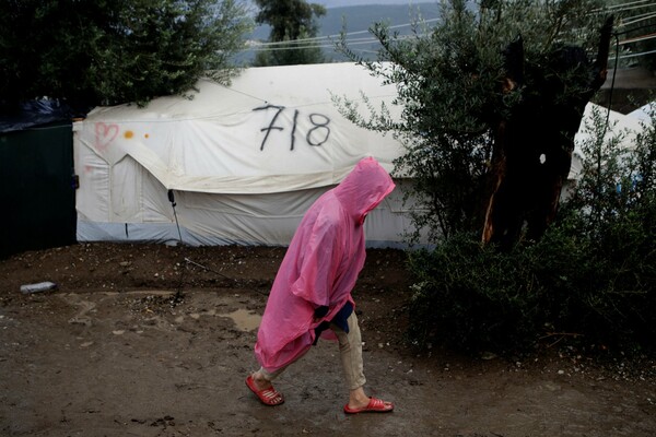 Η κοκκινοσκουφίτσα και ο κακός λύκος των ΜΚΟ