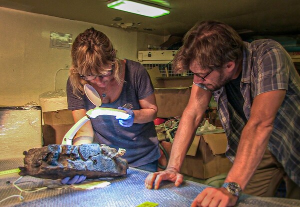 Ναυάγιο των Αντικυθήρων - Νέοι αρχαιολογικοί θησαυροί στο φως μετά την ανέλκυσή τους από το βυθό